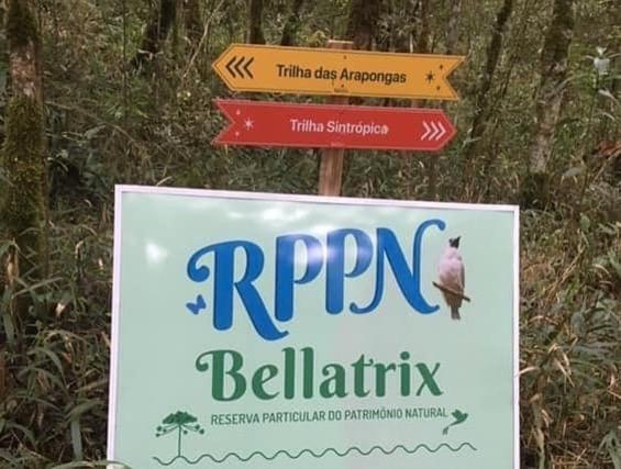 Ribeirao AmareloChale Da Lua Santuario Bellatrix别墅 外观 照片